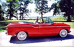 This '60 Studebaker Lark Conv. also belongs to Frank and Gail Philippi...looking for other Stude owners to join the newly formed local Studebaker Drivers Club chapter.