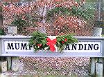 The sign at Mumfords Landing was decorated during the "Decorating Ocean Pines for the Holidays" event sponsored by the Ocean Pines Garden Club on November 28th. Among the volunteers who put up the dec