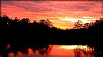 Another sunset on Manklin Creek. 5PM on 12/18/2006. Photo taken from our second floor deck.