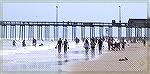 Great crowd dynamics on a hazy summer day near the OC fishing pier. Cropping and increase in contrast was all the image needed.

Leslie Segall