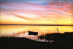 It was just a beautiful sunrise that morning, right before the rocket lauched. Taken with a Nikon N60.