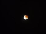 The moon as it rose over the ocean before the eclipse last night.