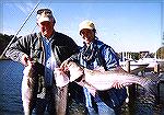 Bob and Jan Blatchley show off some stripers taken during a trip last fall. 