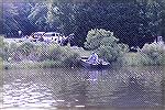 Impatient boaters docking through marsh grasses because the ramps are in use.