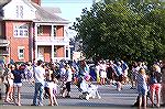 Pet owners prepare to line up for the parade at the "Dog Days Of Summer " event held at Snow Hill. Over 70 pets were registered for the event.