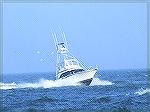 White Marlin Open 2007 Unknown boat came racing back on the first day of the tournament.