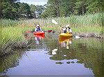 Kayakers on Jakes Gut, off Manklin Creek in Ocean Pines.
(Photo by Valhalla for Msg. #483714.)