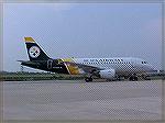 Steeler logo painted on Airbus flown by US Airways.