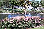 The pond at Baywood, demonstrating what can be done with a rock border around a pond and roses around the perimiter. Could this idea be transferred to the North or South Gates of Ocean Pines?