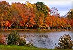 Fall colors at the South Gate Pond. November, 2007.