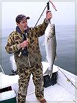 Nice striped bass caught on a white and green bucktail fly while fishing offshore from Ocean City on 12/10/2007
