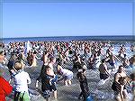 The dash is underway as participants in the 2008 AGH Penguin Swim head for the water.