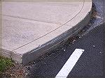 This is an image recently at the Ocean Pines Library that speaks for itself.  Visible are the no-doubt unintended scars left from the wheel of a car or truck of some unhappy vehicle owner.