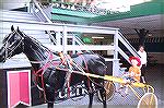 Carson Barnes tries out a sulky at the Ocean Downs Race Track