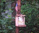 Oscar the Squirrel is waiting for the Fireworks to start