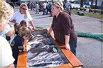 One of the Mrtin family who own Martins Seafood in W. Ocean City points out the large variety of fish caught in the waters off Ocean City.