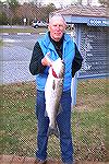 Clive Walker earned 2nd place out of 35 anglers   that participated in the 2008 Ocean Pines Anglers Club/MSSA Rockfish Tournament with this nice 30&quot; Rockfish. 