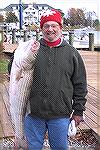 Buddy Siegal took home the bacon [or fish] with this first place, prize winning 38 1/2&quot; Rockfish in the 2008 Ocean Pines Anglers Club/MSSA Rockfish Tournament. 