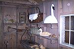 Some of the bird carvinngs on display in a reconstructed building at the new DelMarVa Discovery Center in Pocomoke, Md.