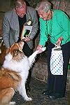 Therapy dog King is shown receiving one of Worcester Counties &quot;Maryland's Most Beautiful&quot; volunteer awards from County Commissioner's President Louise Guylas.
