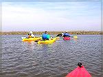 4/25/2009: A group of paddlers participates in one of the Delmarva Birding Weekend guided trips on the Mispillion River near Milford, DE.  The river is bordered by grassy marsh (no shade) and is home 