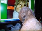 Toodles kissing the computer screen because King's picture is on it.