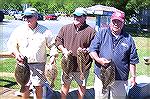 Who says one can lose the top prizes at the Flounder Frenzy and still be proud of some nice looking fish? Dick and John Shelly and Dick Ernest [L to R]that's who. 