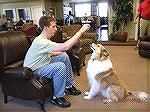 Ryan spent part of his day at The Arbor helping to train therapy dog King.