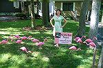 Ginger Fleming,one of the organizers of the Community Church of Ocean Pines, Flamingo Flocking outreach program, stands outside the home of Kelly McGlaughlin where she just delivered a dozen new long 