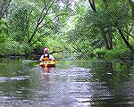 8/1/2009 – A peaceful section of the Cow Bridge Branch of the Indian River.
(Photo for use in Msg# 690958)