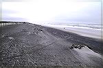 storm covered beach with "black sand"