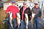 Elvin Shelly shows off Rockfish caught in the annual MSSA/Ocean Pines Anglers Club annual Rockfish Rumble tournament. One at 34 1/2&quot;s was good enough to capture second place. Shown with Elvin [L]