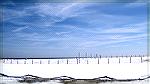 Snow on the Beach Feb 1, 2010