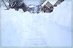 Photo is looking down sidewalk from the front porch of Jack Barnes III. 21 inches. February 5, 2010 snowstorm ranks as one of the worst of all time.   His parents, fortunately, live in Ocean Pines. 