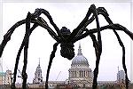 Several sightings of giant spiders have been reported in the Pines. Could they be related to this European cousin?