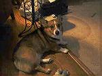 5 year old Corgi, housebroken, loves to run and play. Needs home due to family circumstances.
Call Bill Constantino @ 410:251:7416