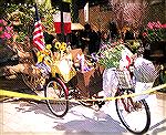 
Photo of French Bicycle taken by Judy Duckworth at the Philadelphia Flower Show on 3/7/11.
Theme of Show:  "SPRINGTIME IN PARIS."
