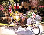 
Photo of French Bicycle taken by Judy Duckworth at the Philadelphia Flower Show on 3/7/11.
Theme of Show:  "SPRINGTIME IN PARIS."
