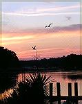   Took this sunset photo on July 5, 2011 from our deck, which views Manklin Creek.
        Judy Duckworth

