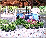 OP Farmer's Market - Opening Day - Saturday, 5/26/12.
Photo by Judy Duckworth
