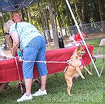 Grand opening of OPA Dog Park on 8/15/2012.