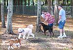 Grand opening of OPA Dog Park on 8/15/2012.