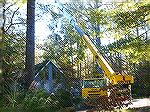 Here is what it takes to remove this large oak that Sandy pushed over on this home. That crane is over $300/hr and the job is dangerous and requires skill.