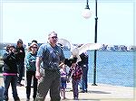 Snowy Owl shown at the "Skyhunters in Flight" live raptor demonstration Saturday 4/27/13 at the Ward Wildfowl Competition at the Convention Center in Ocean City.