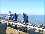 Carved decoy ducks in a row at the Ward World Championship Wildfowl Carving Competition and Art Festival on Saturday 4/27/13 at the Ocean City Convention Center.