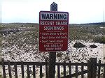 Nauset Beach Cape Cod, I love the line that states don't swim alone