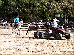 Calf roping contest at Mule Competetion at Powellville.