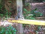 The unused gate with chain that is not used at the White Horse boat Ramp