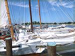 Skipjacks at Deal Island after annual race.