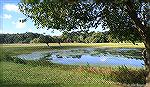 View of the north side pond at the Ocean Pines North Gate.